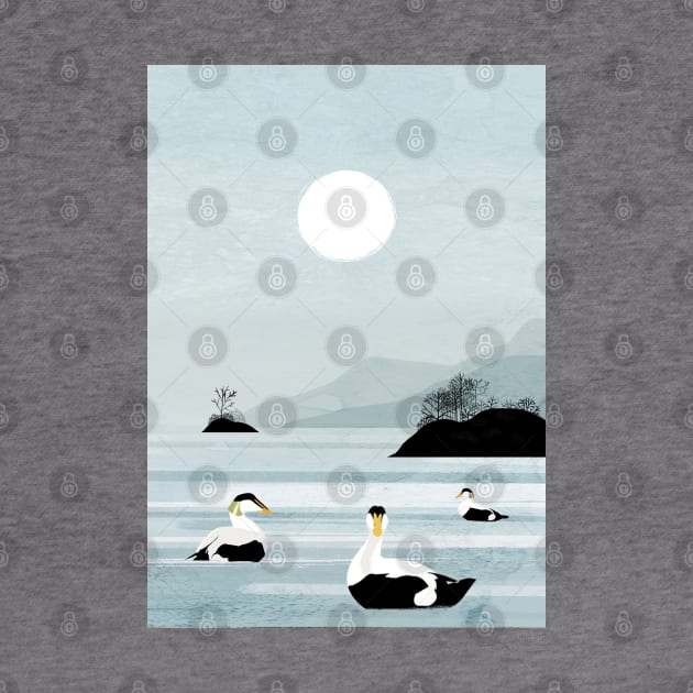 Eider Ducks by KatherineBlowerDesigns